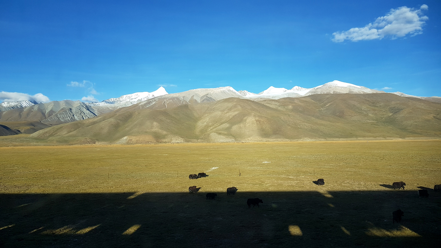 20180925_Zug-nach-Lhasa (108)