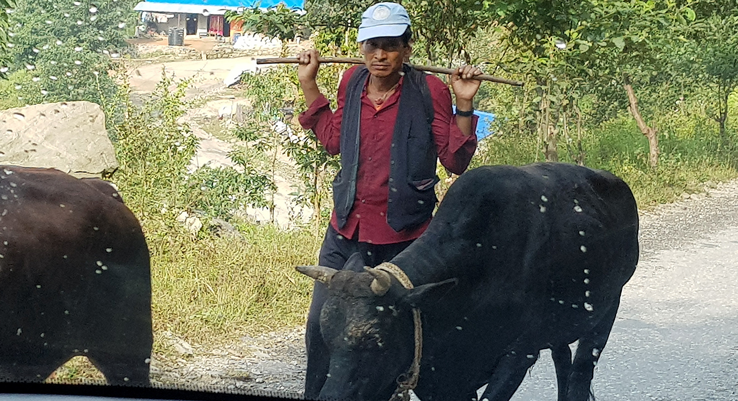 20181003_nach-Kathmandu (172)